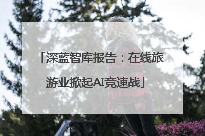 深蓝智库报告：在线旅游业掀起AI竞速战