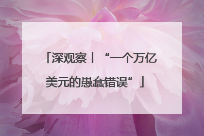 深观察丨“一个万亿美元的愚蠢错误”