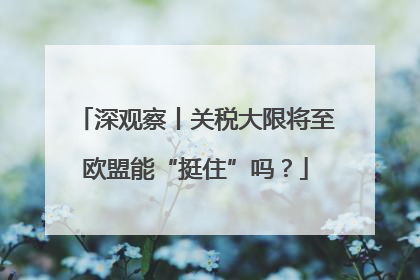 深观察丨关税大限将至欧盟能“挺住”吗？