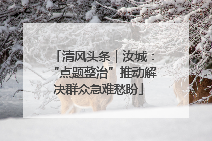 清风头条｜汝城：“点题整治”推动解决群众急难愁盼