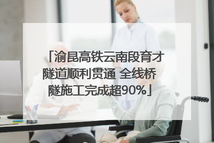 渝昆高铁云南段育才隧道顺利贯通 全线桥隧施工完成超90%