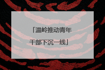 温岭推动青年干部下沉一线