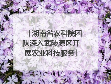 湖南省农科院团队深入武陵源区开展农业科技服务