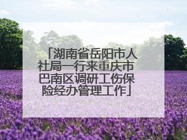 湖南省岳阳市人社局一行来重庆市巴南区调研工伤保险经办管理工作