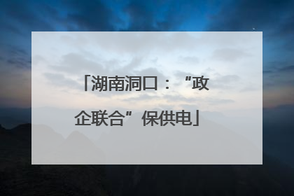 湖南洞口：“政企联合”保供电