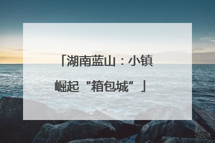湖南蓝山：小镇崛起“箱包城”