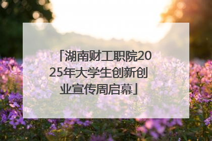 湖南财工职院2025年大学生创新创业宣传周启幕