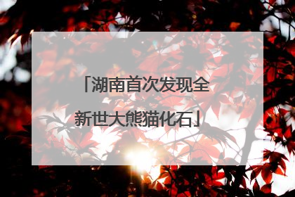 湖南首次发现全新世大熊猫化石