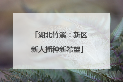 湖北竹溪：新区新人播种新希望