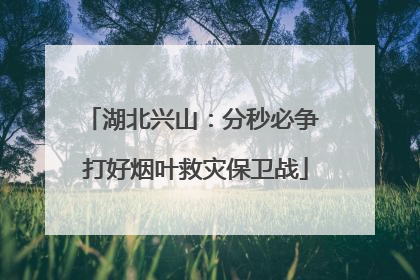 湖北兴山：分秒必争 打好烟叶救灾保卫战