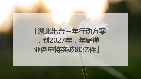 湖北出台三年行动方案，到2027年，年寄递业务量将突破80亿件