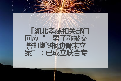 湖北孝感相关部门回应“一男子称被交警打断9根肋骨未立案”：已成立联合专班开展工作