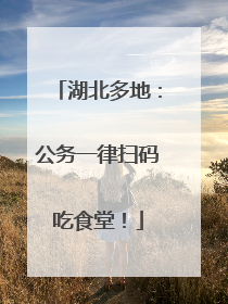 湖北多地：公务一律扫码吃食堂！