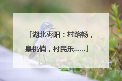 湖北枣阳：村路畅，皇桃俏，村民乐……