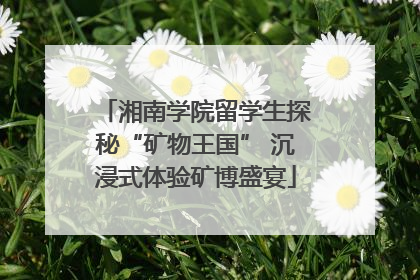 湘南学院留学生探秘“矿物王国” 沉浸式体验矿博盛宴