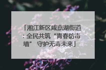 湘江新区咸嘉湖街道：全民共筑“青春防毒墙” 守护无毒未来