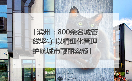 滨州：800余名城管一线坚守 以精细化管理护航城市靓丽容颜