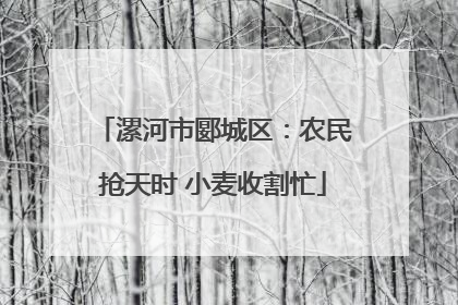 漯河市郾城区：农民抢天时 小麦收割忙