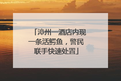 漳州一酒店内现一条活鳄鱼，警民联手快速处置