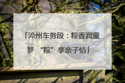 漳州车务段：粽香润童梦 “粽”享亲子情