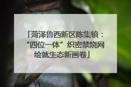 菏泽鲁西新区陈集镇：“四位一体”织密禁烧网 绘就生态新画卷