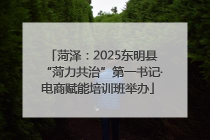 菏泽：2025东明县“菏力共治”第一书记·电商赋能培训班举办