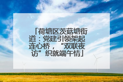 荷塘区茨菇塘街道：党建引领架起连心桥，“双联夜访”织就端午情