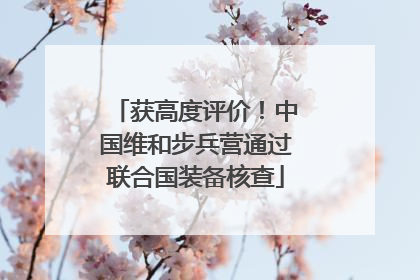 获高度评价！中国维和步兵营通过联合国装备核查