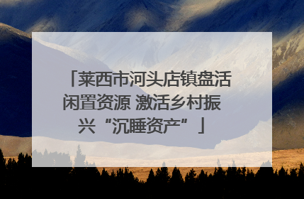 莱西市河头店镇盘活闲置资源 激活乡村振兴“沉睡资产”
