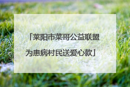 莱阳市菜哥公益联盟为患病村民送爱心款
