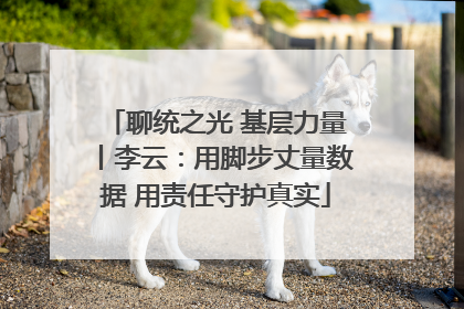 聊统之光 基层力量丨李云：用脚步丈量数据 用责任守护真实