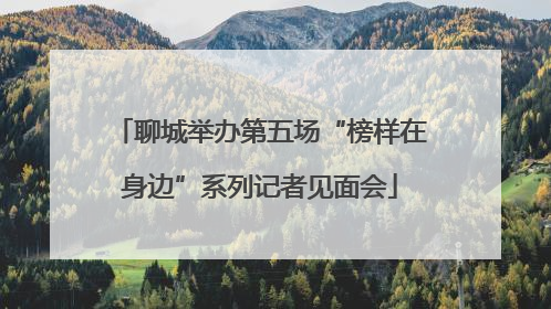 聊城举办第五场“榜样在身边”系列记者见面会