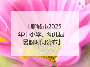 聊城市2025年中小学、幼儿园暑假时间公布