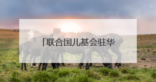 联合国儿基会驻华代表桑爱玲：致力于减少碳排放 帮助儿童适应气候变化