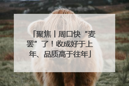聚焦丨周口快“麦罢”了！收成好于上年、品质高于往年