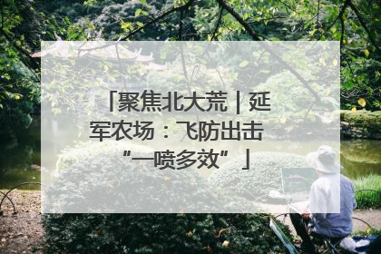 聚焦北大荒｜延军农场：飞防出击 “一喷多效”