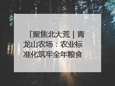 聚焦北大荒｜青龙山农场：农业标准化筑牢全年粮食安全根基