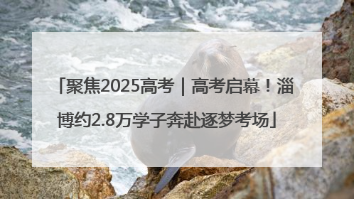 聚焦2025高考｜高考启幕！淄博约2.8万学子奔赴逐梦考场
