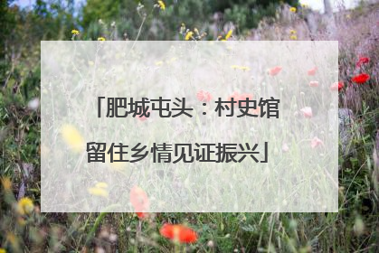 肥城屯头：村史馆留住乡情见证振兴