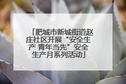 肥城市新城街道赵庄社区开展“安全生产 青年当先”安全生产月系列活动