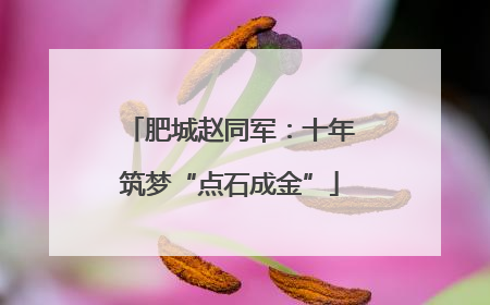 肥城赵同军：十年筑梦“点石成金”