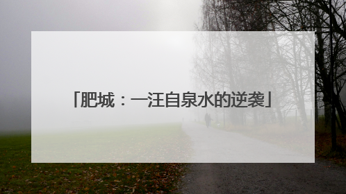 肥城：一汪自泉水的逆袭