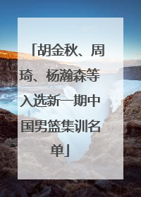 胡金秋、周琦、杨瀚森等入选新一期中国男篮集训名单