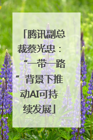 腾讯副总裁蔡光忠：“一带一路”背景下推动AI可持续发展