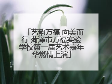 艺韵万福 向美而行 菏泽市万福实验学校第一届艺术嘉年华燃情上演