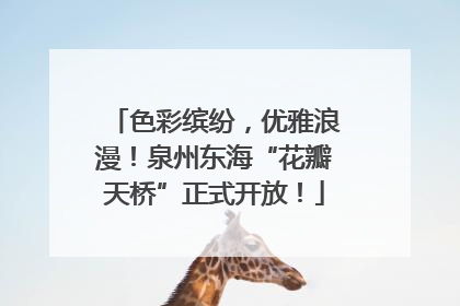 色彩缤纷，优雅浪漫！泉州东海“花瓣天桥”正式开放！