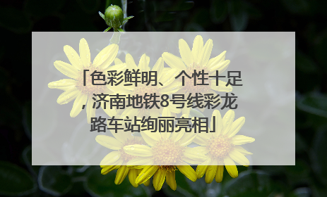 色彩鲜明、个性十足，济南地铁8号线彩龙路车站绚丽亮相