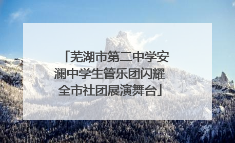 芜湖市第二中学安澜中学生管乐团闪耀全市社团展演舞台