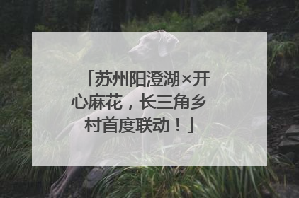 苏州阳澄湖×开心麻花，长三角乡村首度联动！