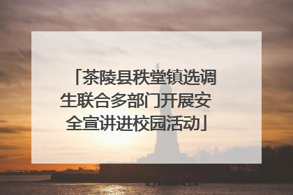 茶陵县秩堂镇选调生联合多部门开展安全宣讲进校园活动